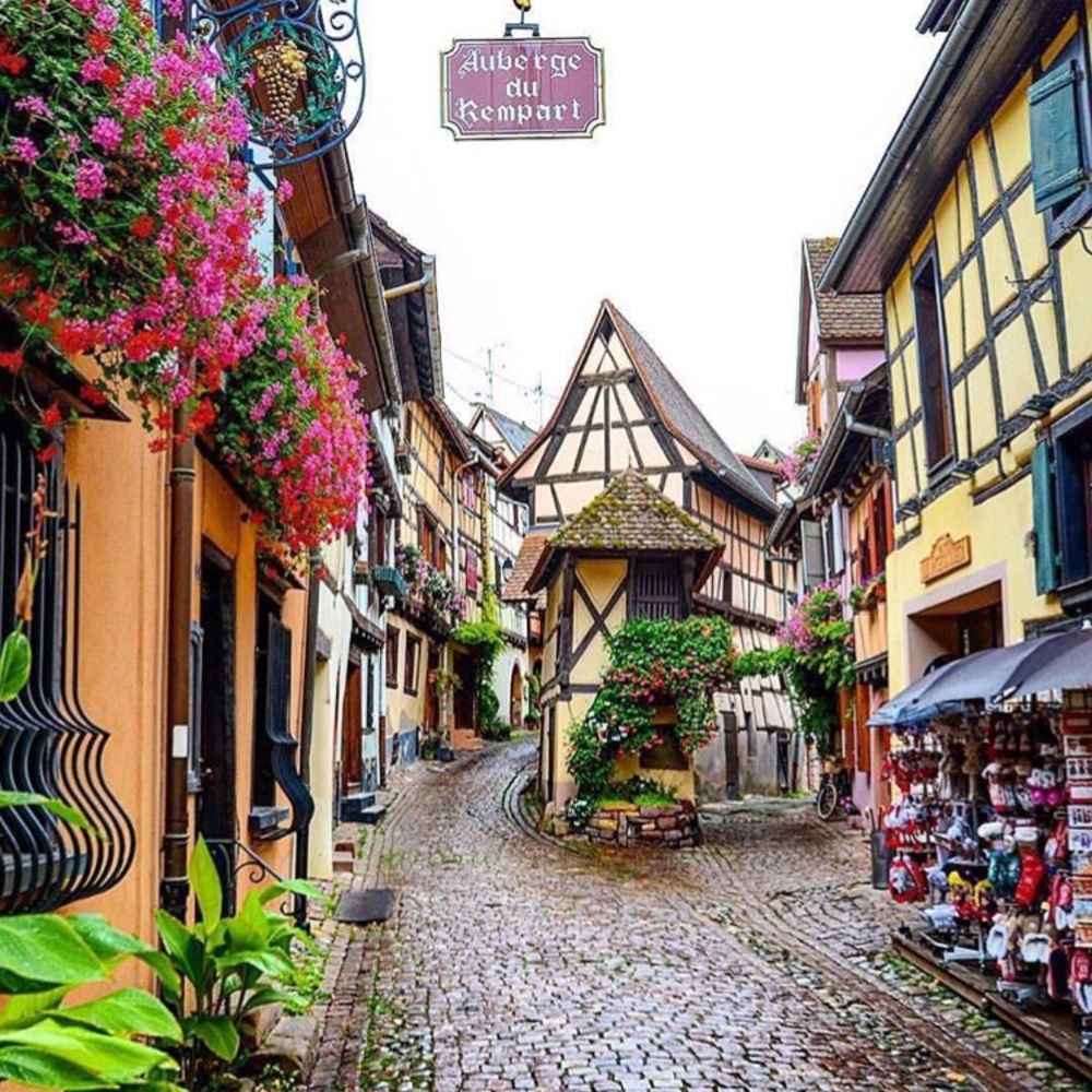 Meet your Posher, Rosseta